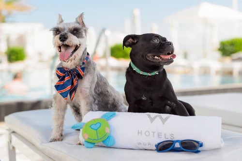 W Fort Lauderdale - image 9