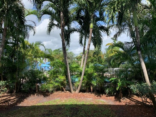 Rodeway Inn & Suites Fort Lauderdale Airport & Cruise Port - image 22