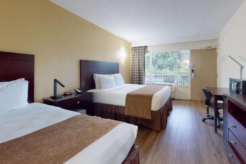 Rodeway Inn & Suites Fort Lauderdale Airport & Cruise Port - image 6