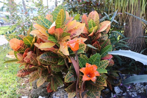 Breakaway Inn Guest House - image 5
