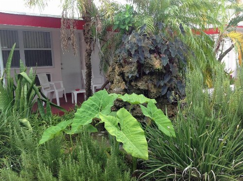 Birch Patio Motel - image 14