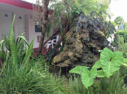 Birch Patio Motel - image 17