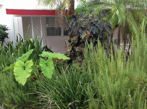 Birch Patio Motel - image 19