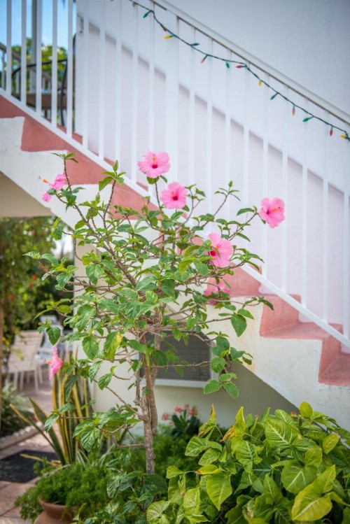 Shore Haven Resort Inn - image 11