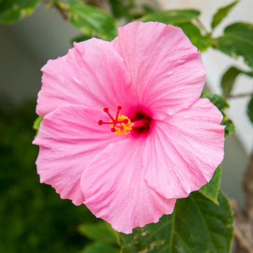 Shore Haven Resort Inn - image 19