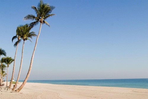 Bahia Mar - Fort Lauderdale Beach - DoubleTree by Hilton - image 7