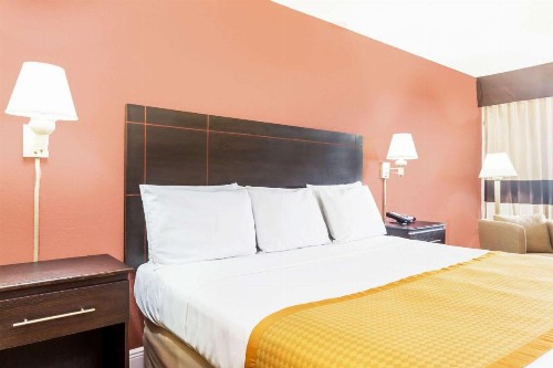 Days Inn by Wyndham Fort Lauderdale-Oakland Park Airport N - image 8