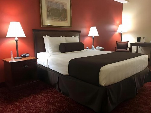 Best Western Fort Lauderdale Airport/Cruise Port - image 33