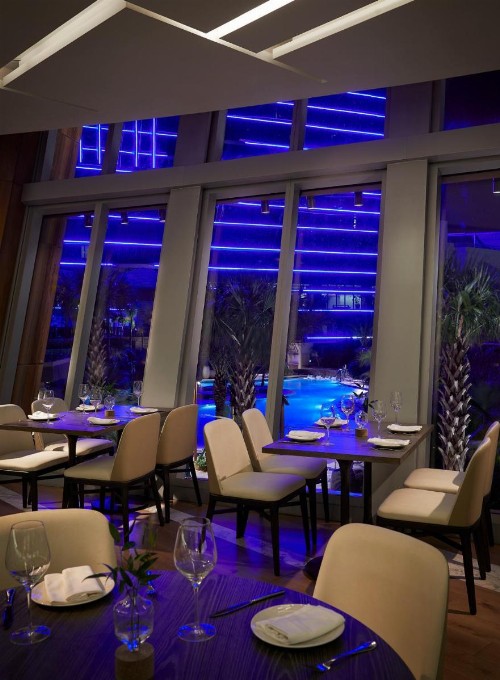 Seminole Hard Rock Hotel & Casino Hollywood - image 6