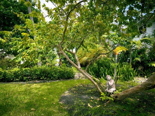 Beach Gardens - image 33