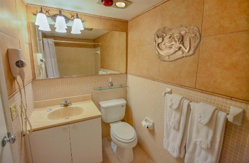 Sea Cliff Hotel - image 8