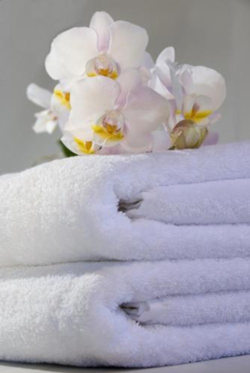 Tides Inn Hotel - image 34