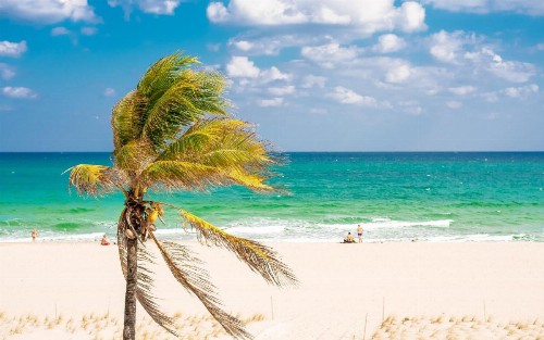 Plunge Beach Resort - image 37