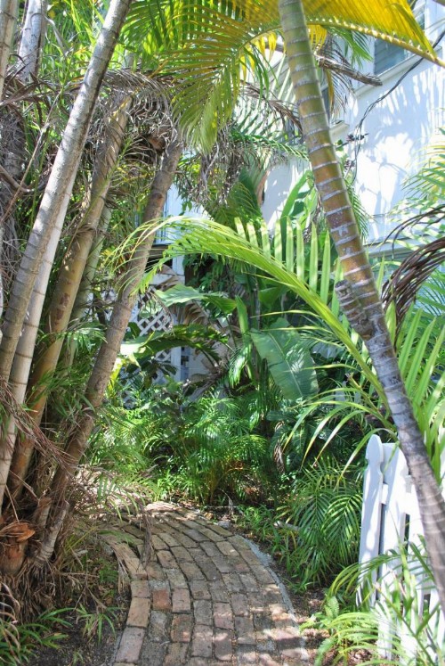 Green Island Inn - image 31