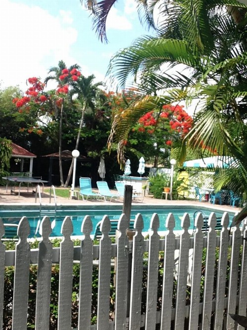 Green Island Inn - image 39