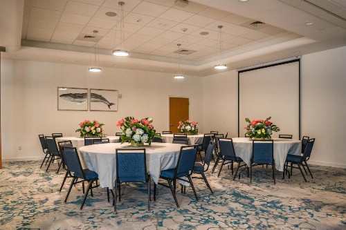 TRYP by Wyndham Maritime Fort Lauderdale - image 22