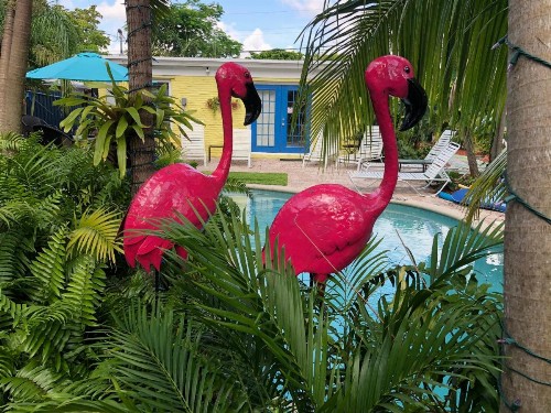 Calypso Inn Wilton Gay Male Resort