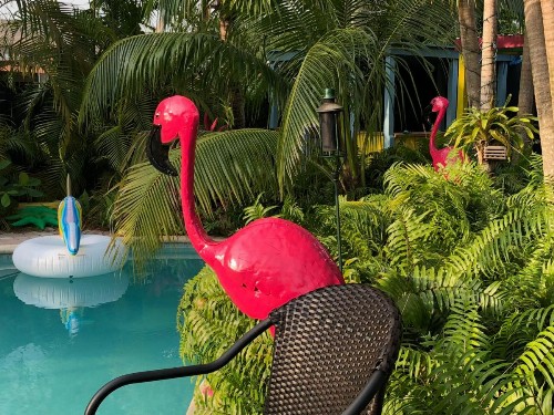 Calypso Inn Wilton Gay Male Resort - image 13