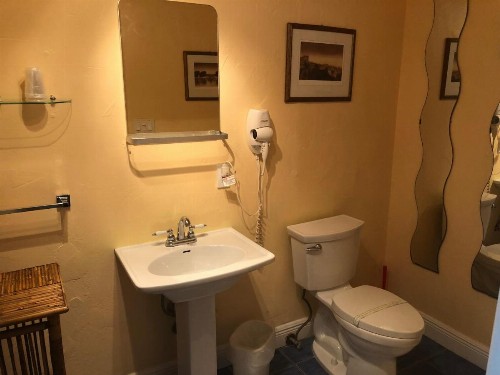 Calypso Inn Wilton Gay Male Resort - image 27