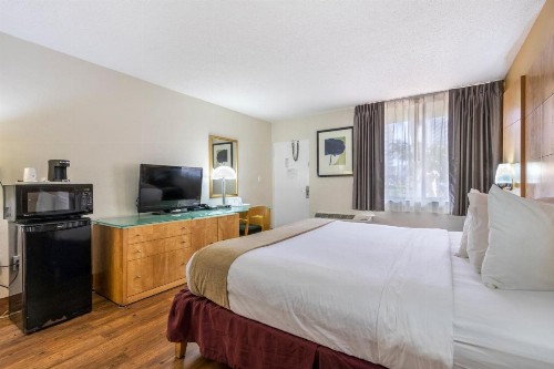 Ocean Reef Hotel - image 4