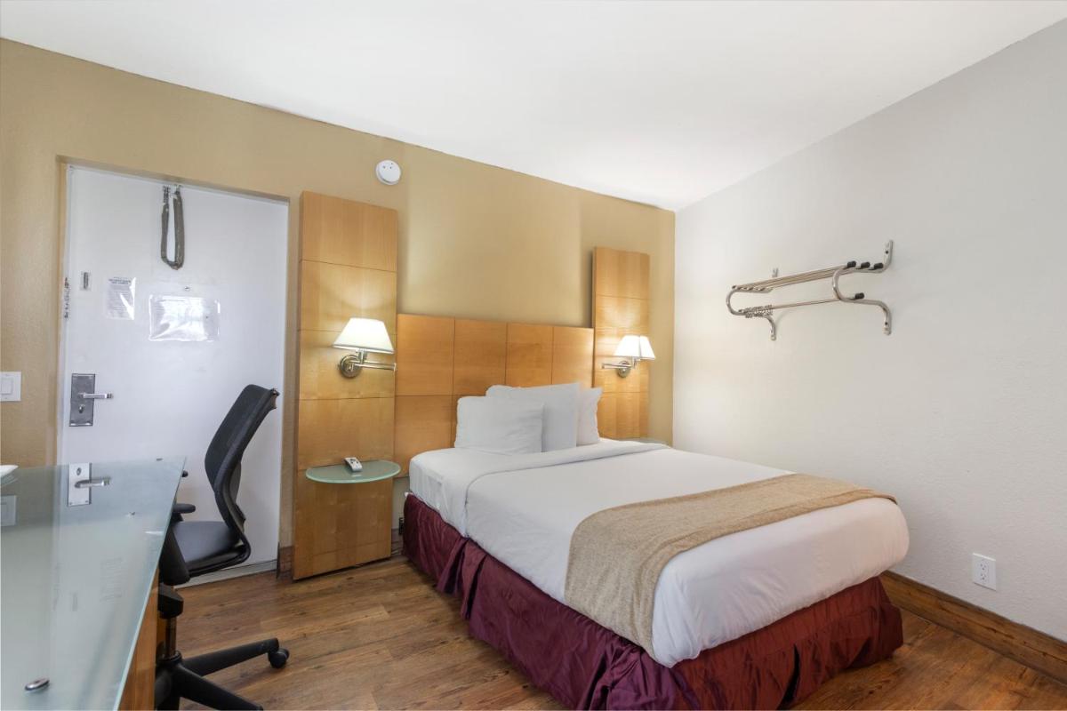 Ocean Reef Hotel - image 7