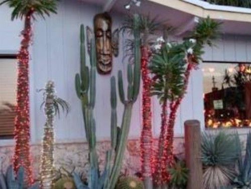 Best Florida Resort