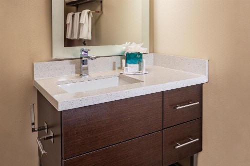 TownePlace Suites by Marriott Fort Mill at Carowinds Blvd - image 3
