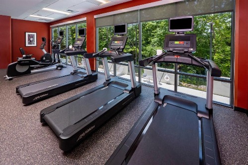 TownePlace Suites by Marriott Fort Mill at Carowinds Blvd - image 7