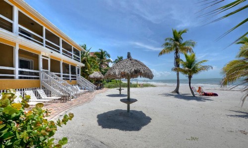 Tiki On The Beach - image 10