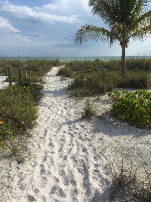 Sandy Beach - image 2