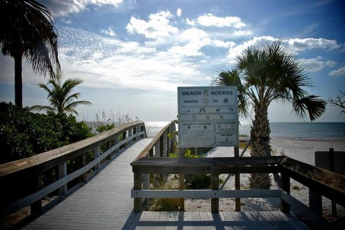 5566 Palmetto - image 12