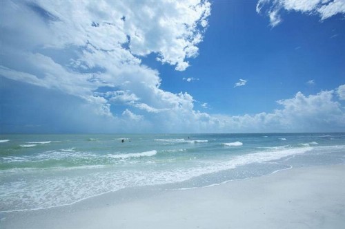 5566 Palmetto - image 9