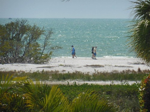 7900 Estero - image 8