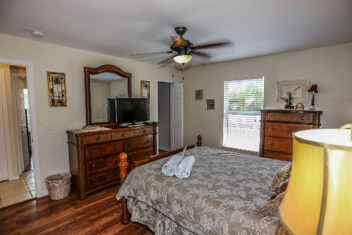 295 Mango - image 10