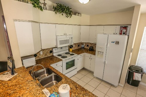 295 Mango - image 5