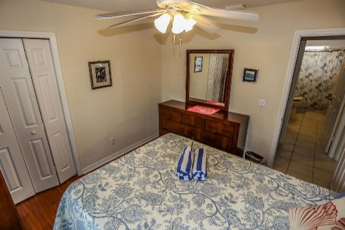 295 Mango - image 7
