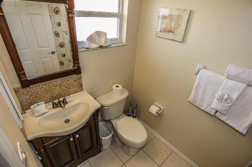 295 Mango - image 8