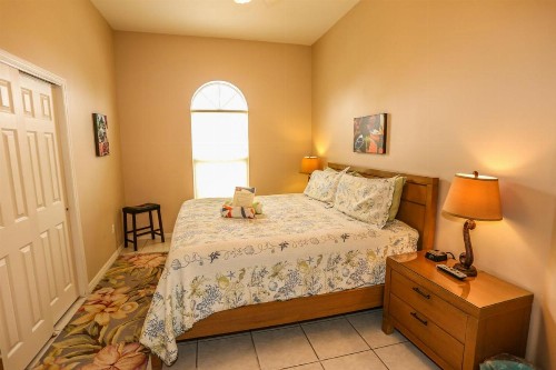 244 Flamingo - image 11