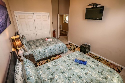244 Flamingo - image 7