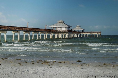 138 Delmar - image 10