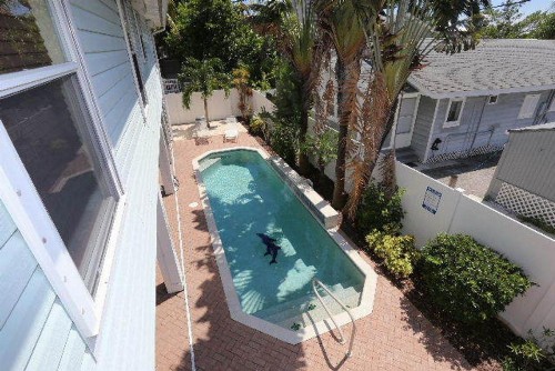 167 Delmar Avenue - image 11