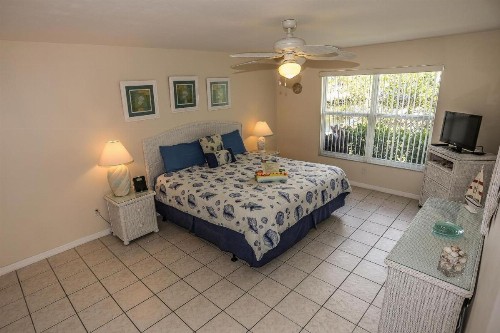 250 Albatross St. - M - image 8