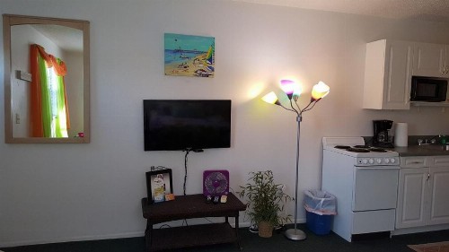 5583 Estero Blvd Iguana Mama's Beach House - image 12