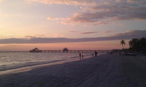315 Mango - image 6