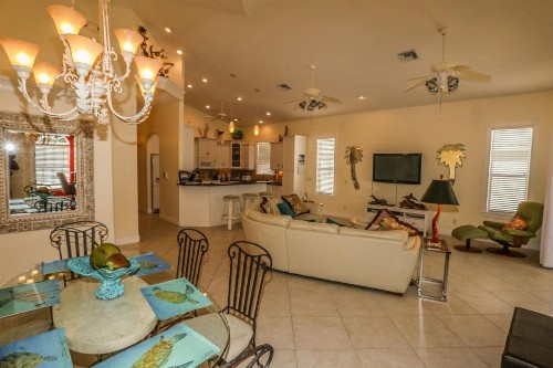 315 Mango - image 8