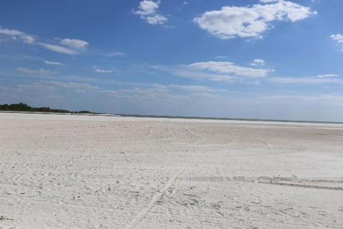 Castle Beach 402 - image 8