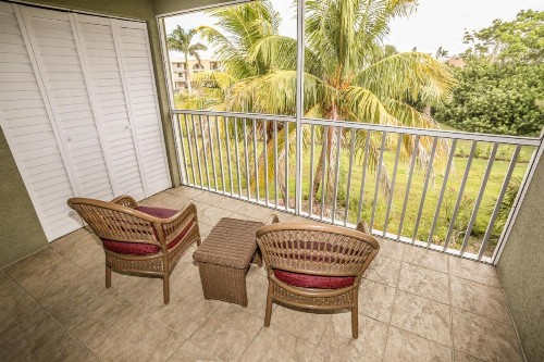 21171 Noddy Tern Drive - image 11