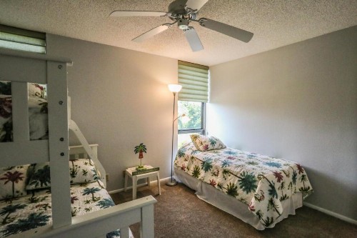 Palms 3A - image 8