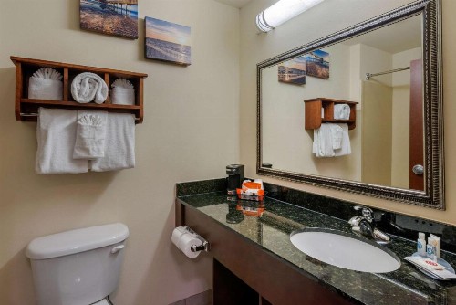 Comfort Inn & Suites Fort Myers Airport - image 11