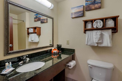 Comfort Inn & Suites Fort Myers Airport - image 14